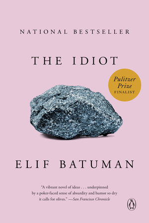 9780143111061 The Idiot Book Cover